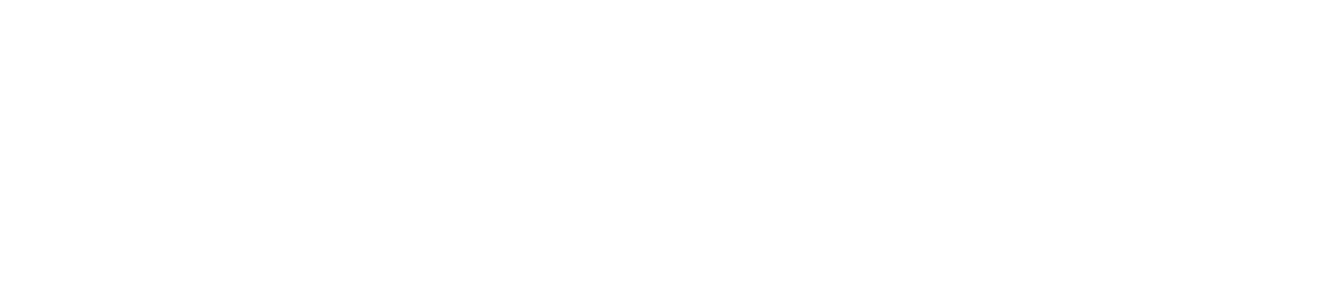 EVOSAKI Logo Blanco
